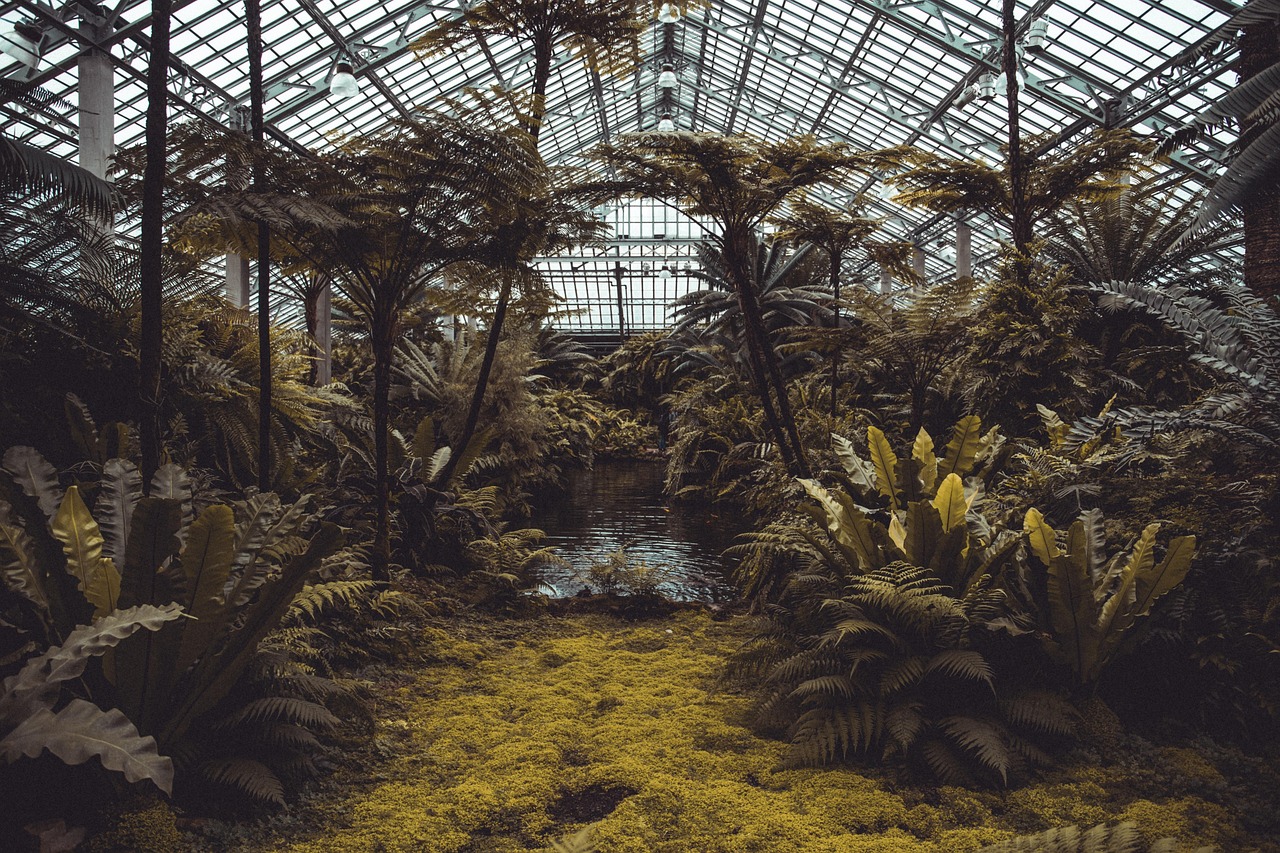 森居×云栖：植物沉浸式展览即将开幕